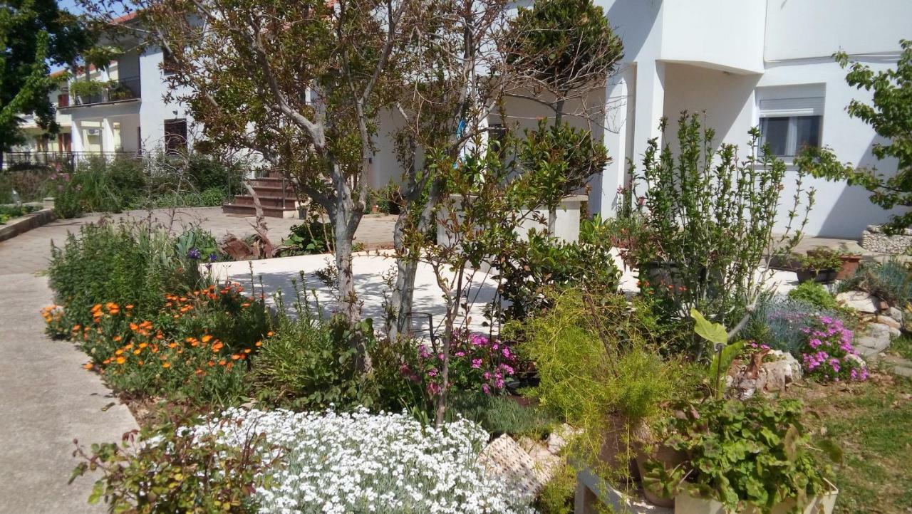 Apartman La Maison ザダル エクステリア 写真
